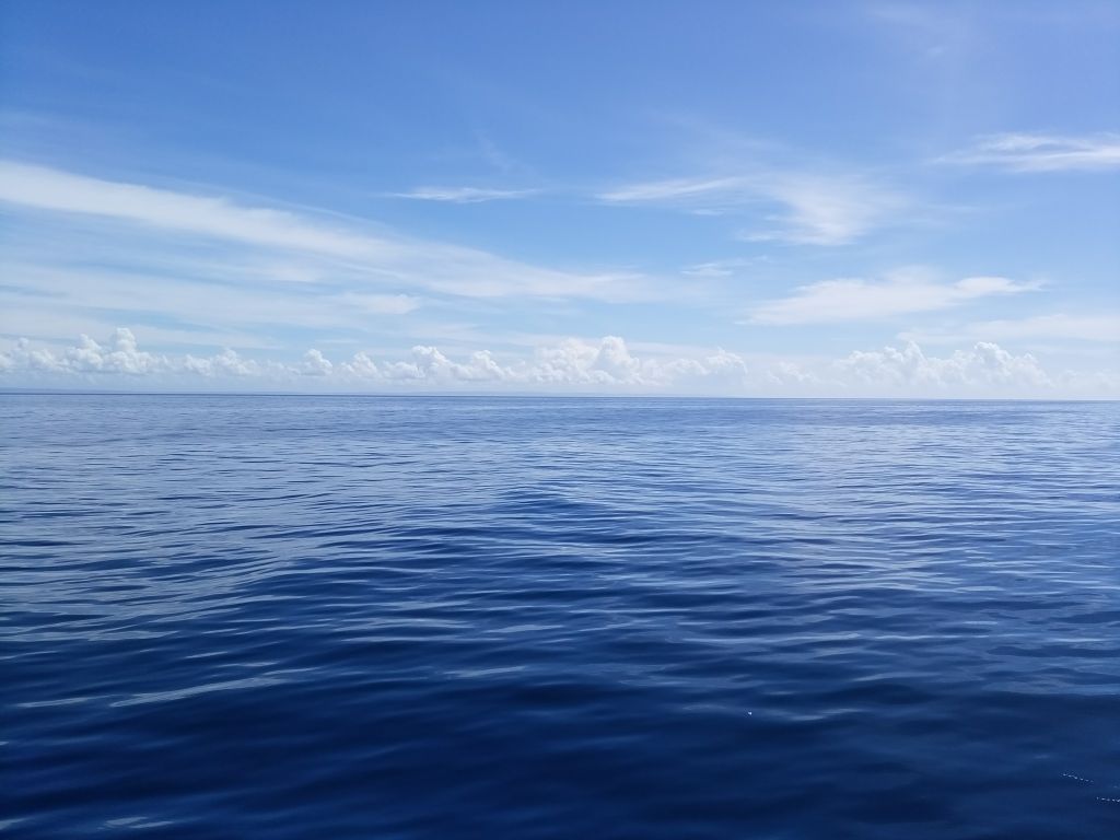 バルキーノ　Barchino　海