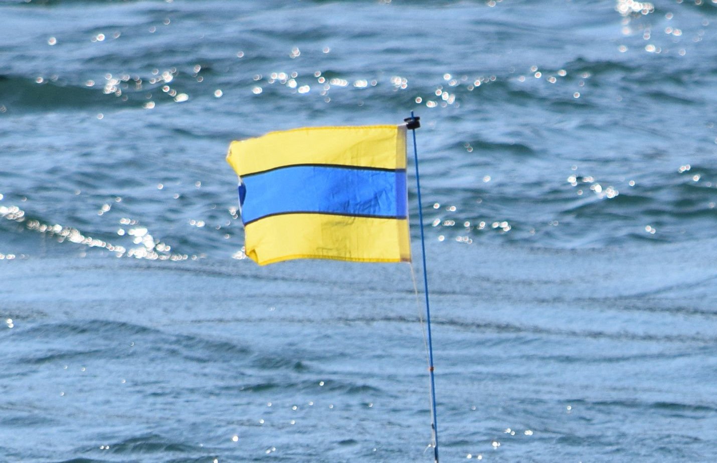 バルキーノ　Barchino　国際信号機　D旗