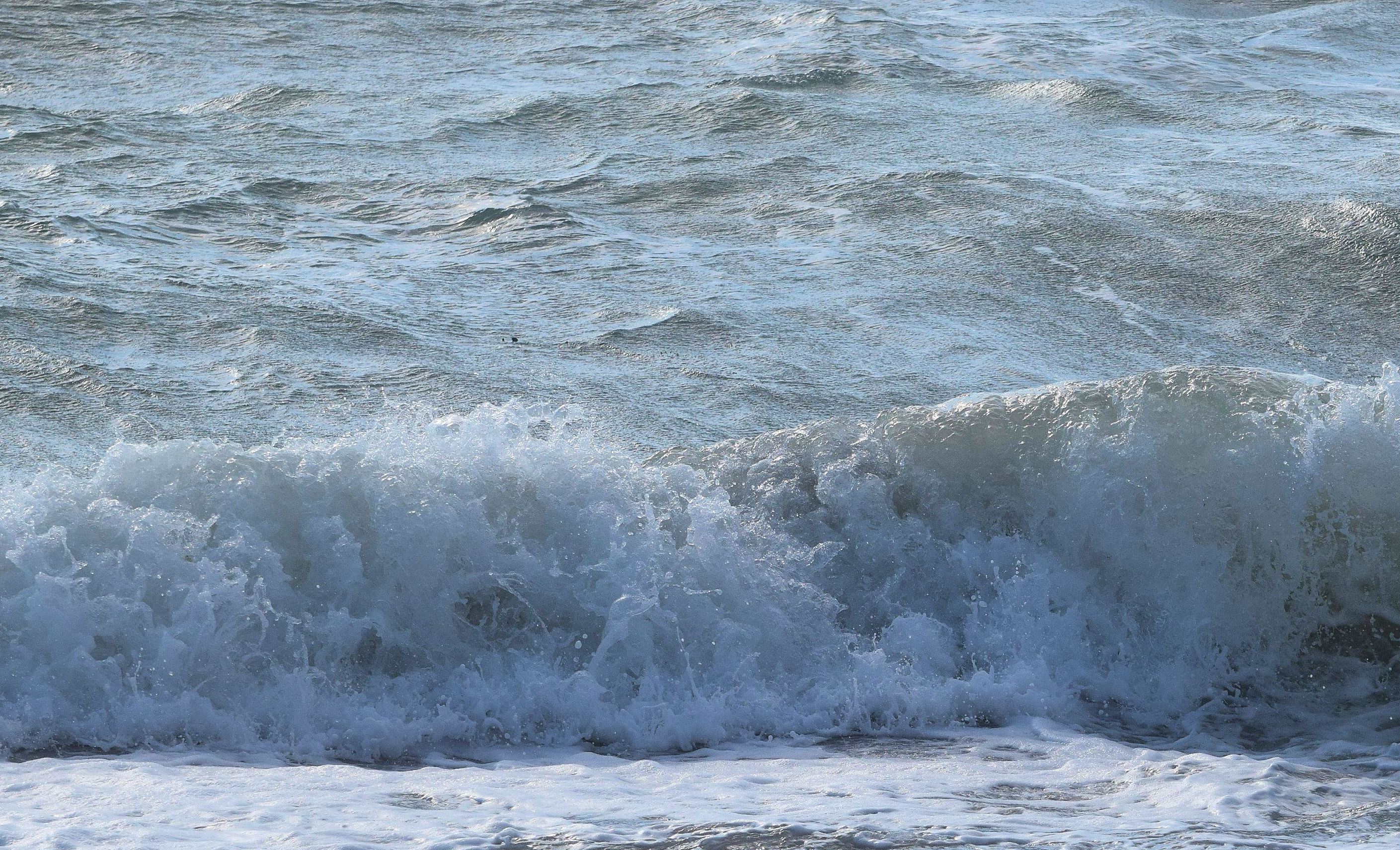 バルキーノ　Barchino　海