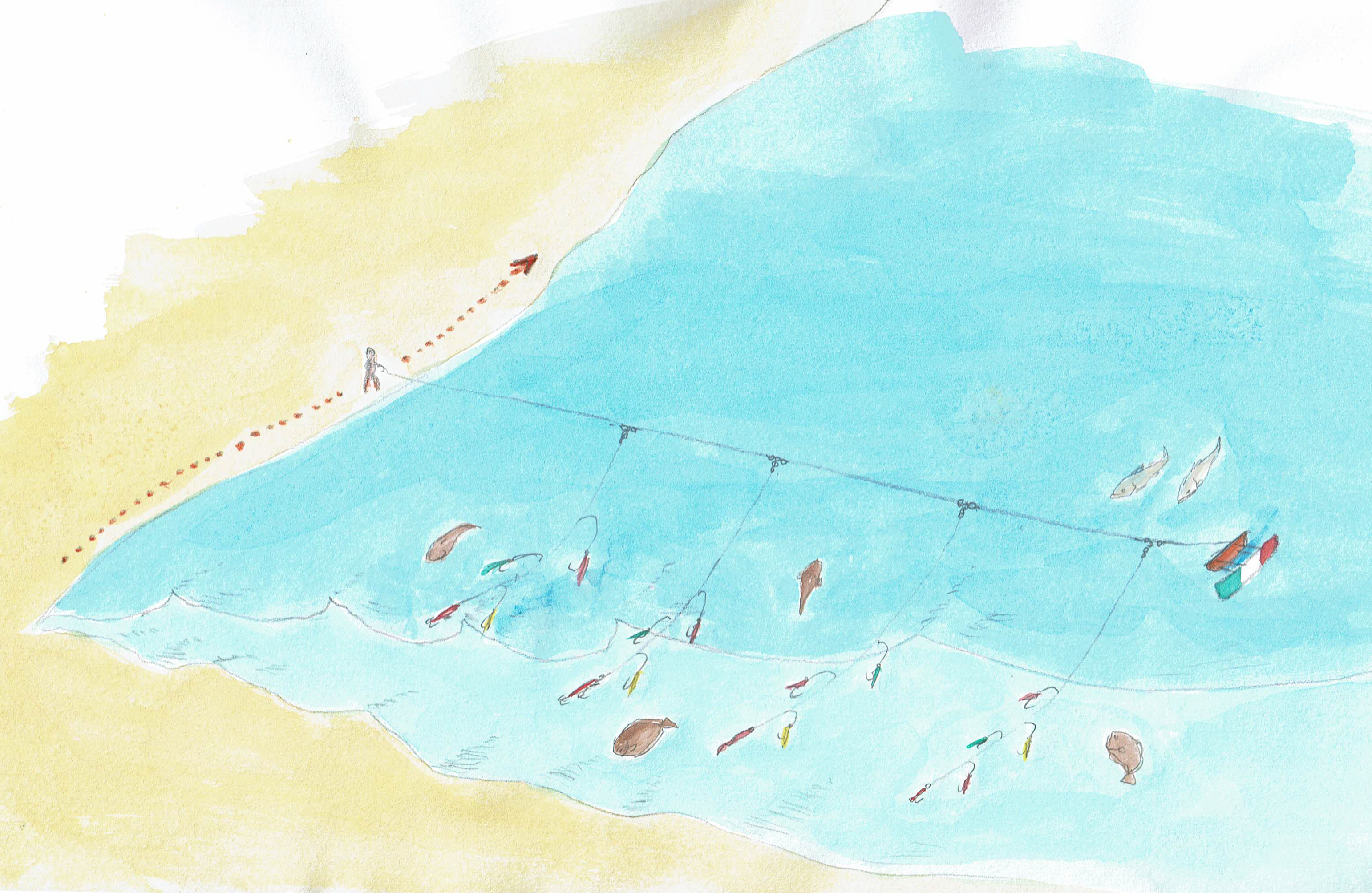 バルキーノ　Barchino　釣り