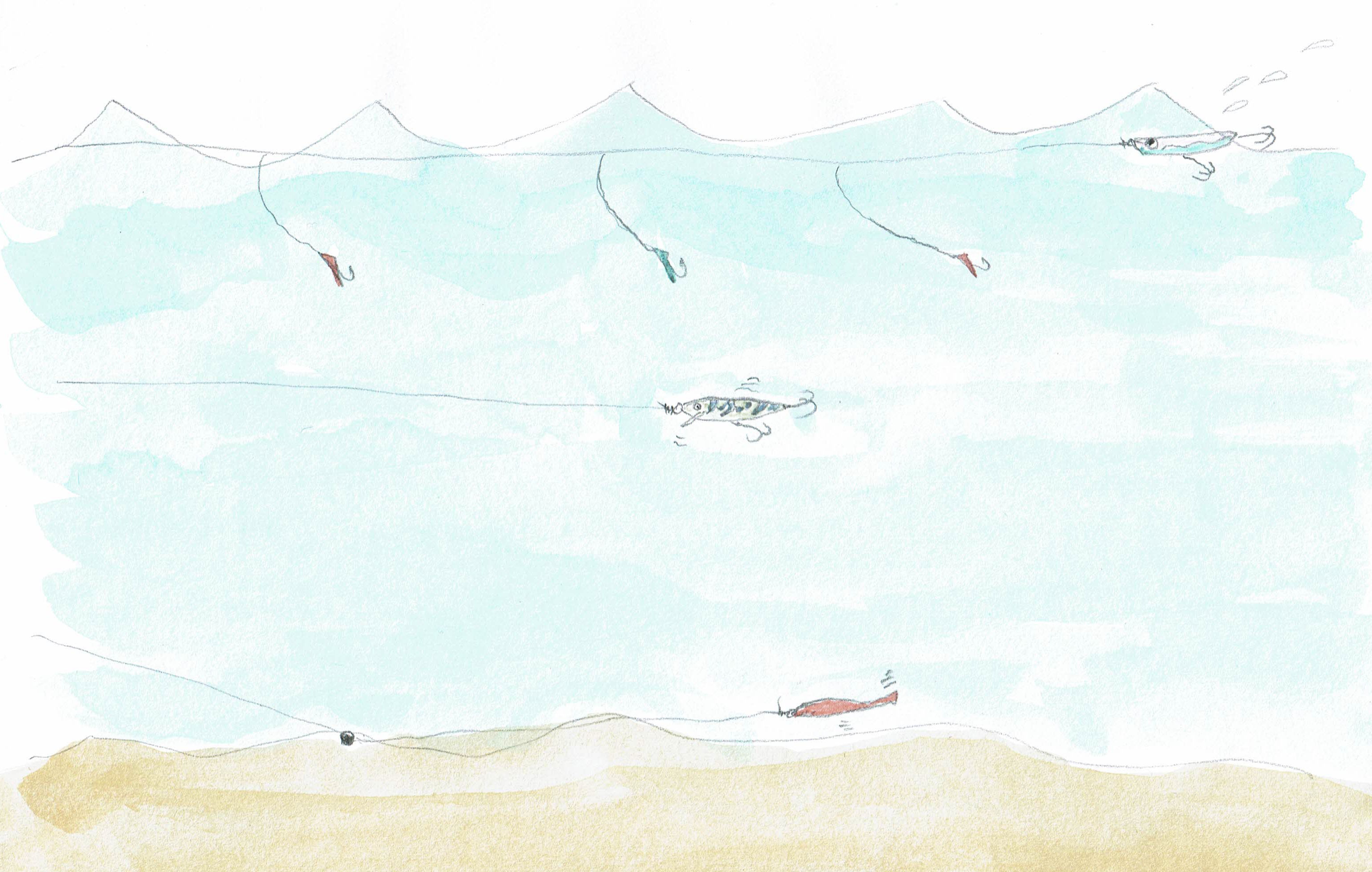 バルキーノ　Barchino　釣り