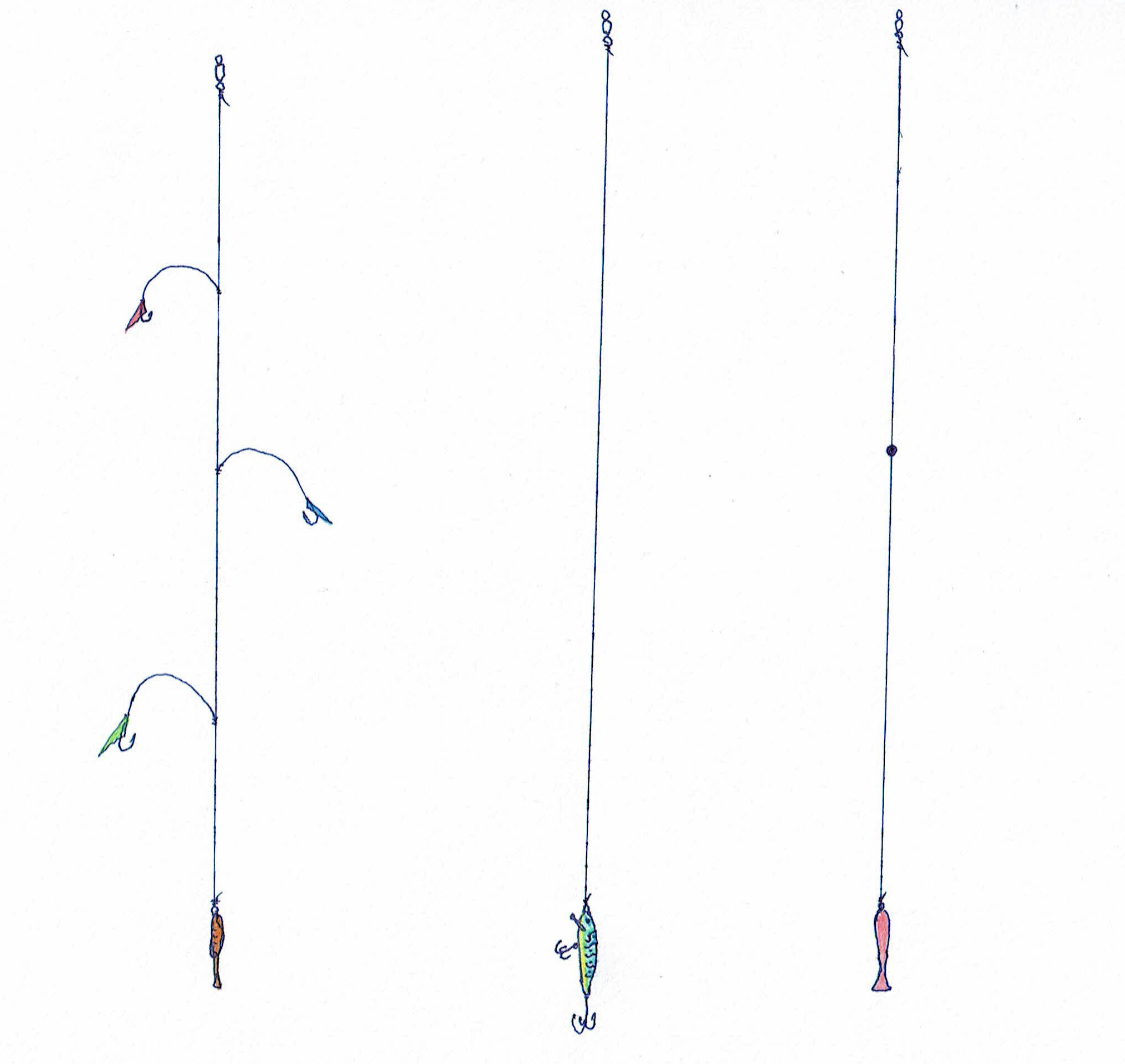 バルキーノ　Barchino　釣り